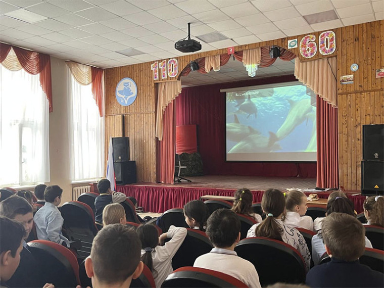 Отчет о проведении Всемирного дня дикой природы.